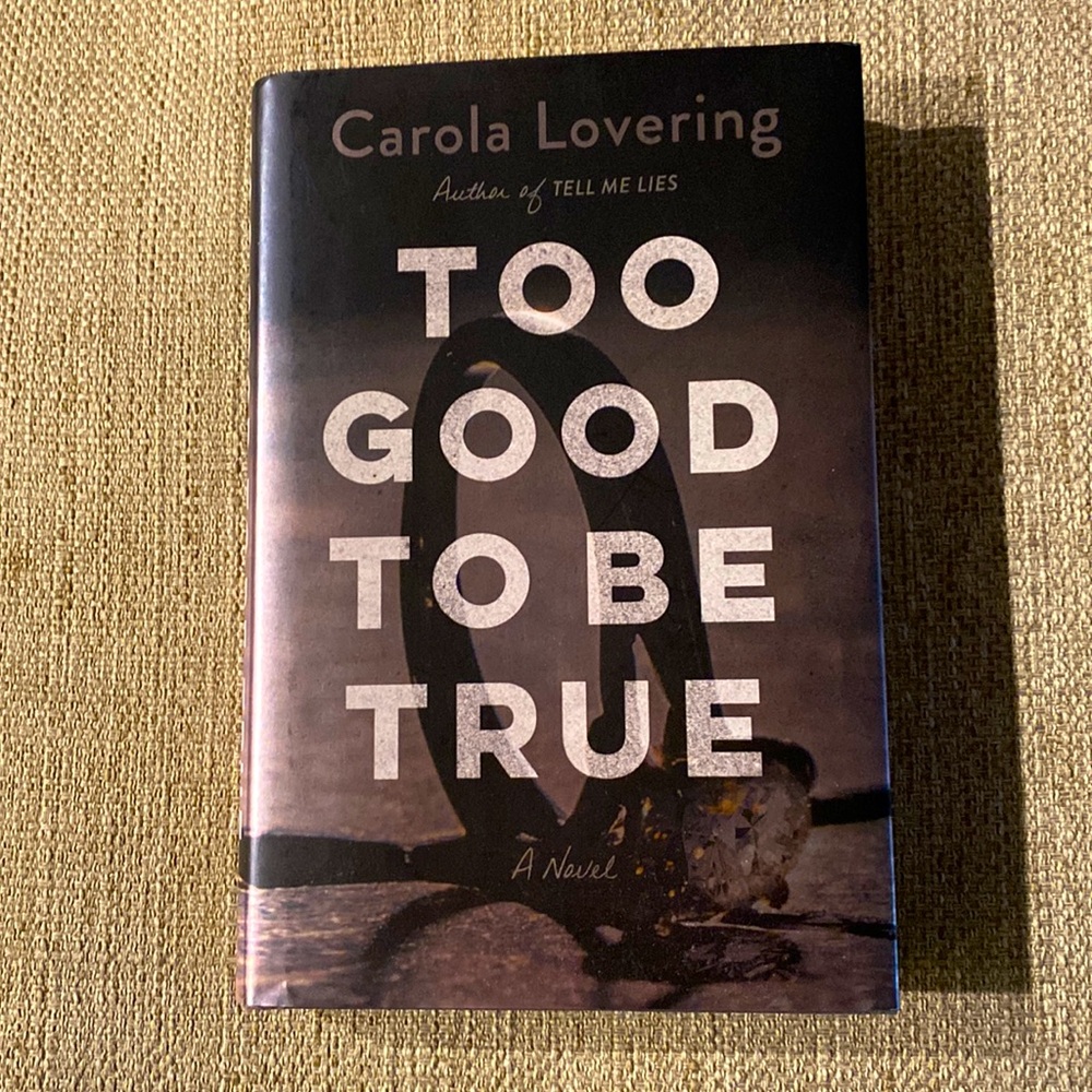 Too Good to Be True by Carola Lovering